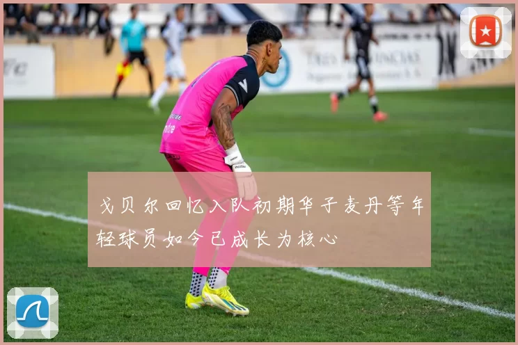 戈贝尔回忆入队初期华子麦丹等年轻球员如今已成长为核心